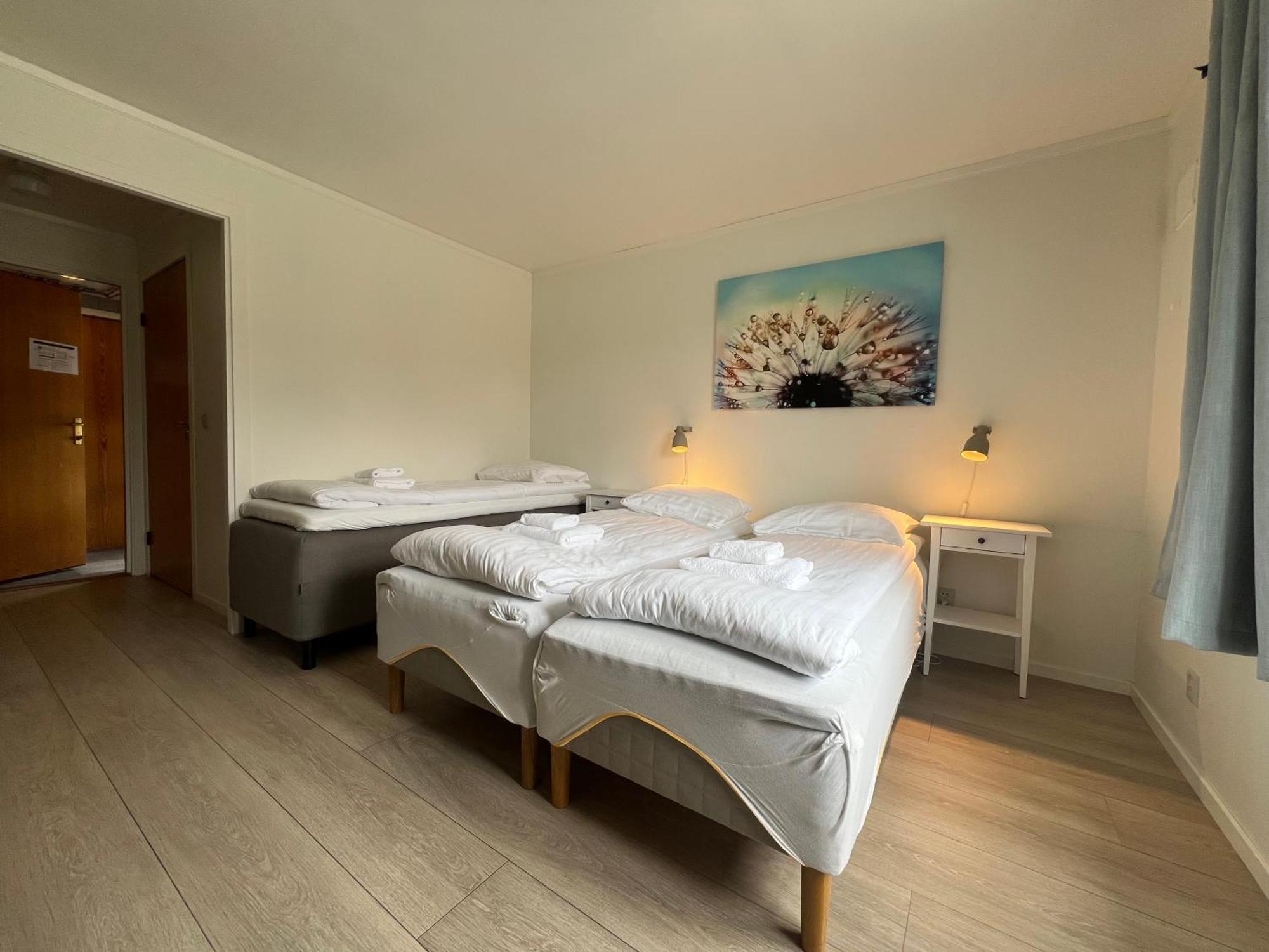 Malmplassen Gjestegård Bed&Breakfast Tolga Eksteriør billede