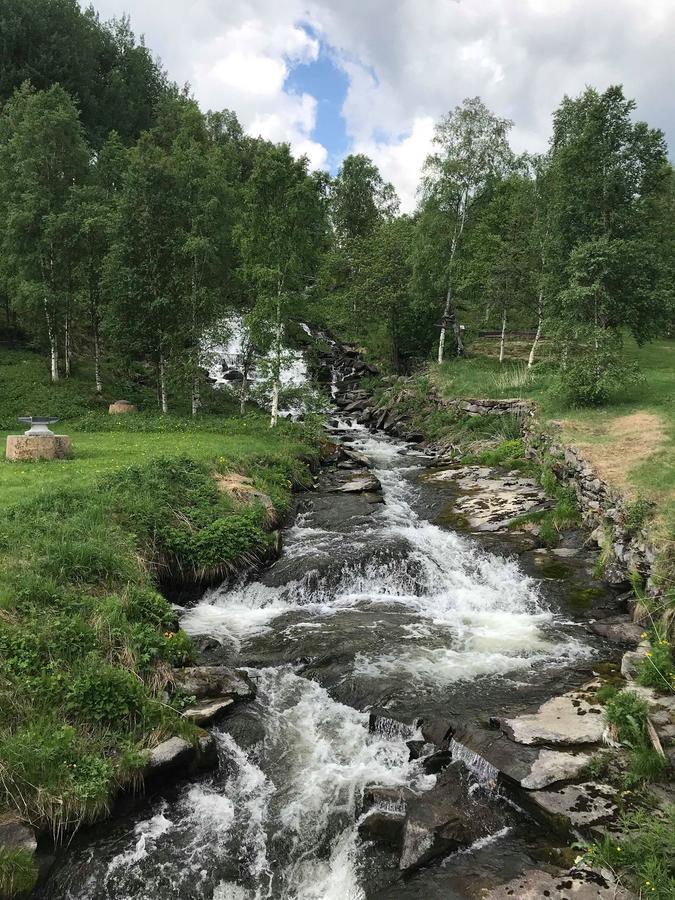 Malmplassen Gjestegård Bed&Breakfast Tolga Eksteriør billede