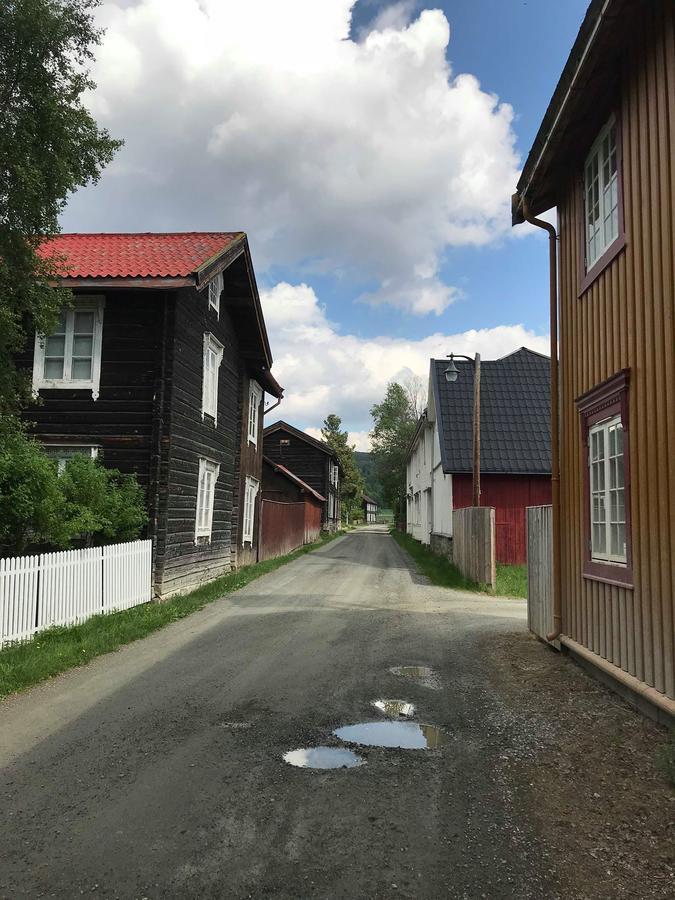 Malmplassen Gjestegård Bed&Breakfast Tolga Eksteriør billede
